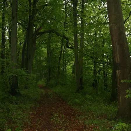 Stajnia Sarnowek Nad Jeziorem Rozany Rozajny Wielkie
