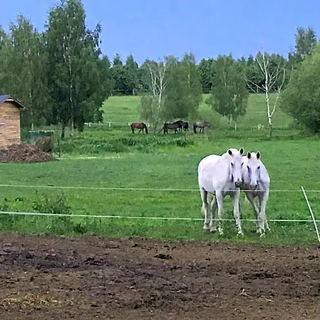 Stajnia Sarnowek Nad Jeziorem Rozany Oda ve Kahvaltı Rozajny Wielkie
