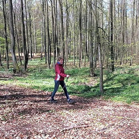 Stajnia Sarnowek Nad Jeziorem Rozany