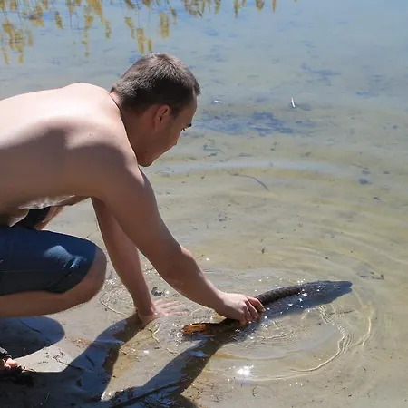 Stajnia Sarnowek Nad Jeziorem Rozany