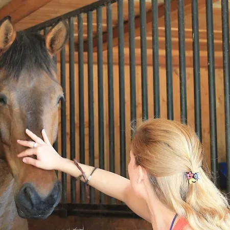 Stajnia Sarnowek Nad Jeziorem Rozany Bed & Breakfast