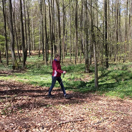 Stajnia Sarnowek Nad Jeziorem Rozany Bed & Breakfast