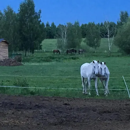 Stajnia Sarnowek Nad Jeziorem Rozany Bed & Breakfast