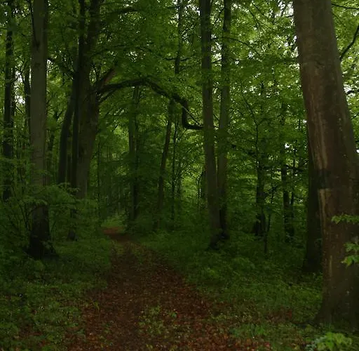 Stajnia Sarnowek Nad Jeziorem Rozany Rozajny Wielkie