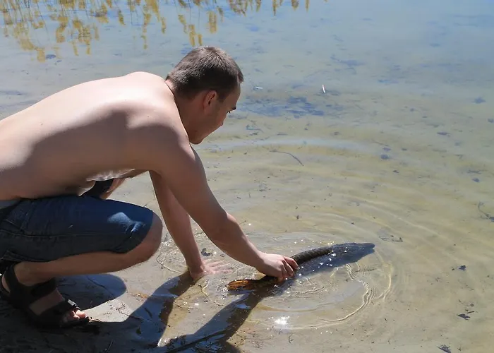 Stajnia Sarnowek Nad Jeziorem Rozany