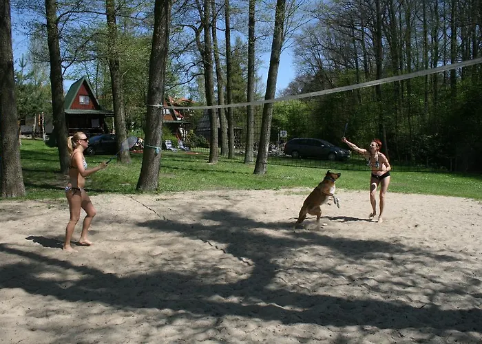 住宿加早餐酒店 Stajnia Sarnowek Nad Jeziorem Rozany