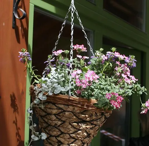 住宿加早餐酒店 Stajnia Sarnowek Nad Jeziorem Rozany Rozajny Wielkie