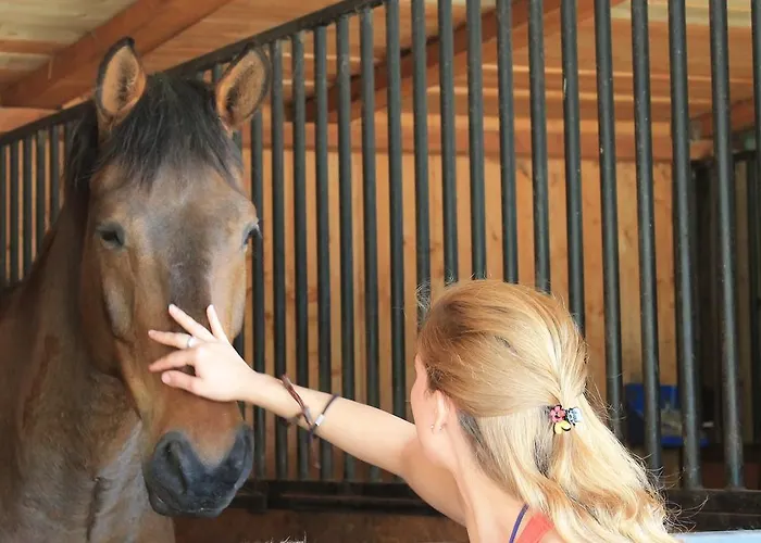Stajnia Sarnowek Nad Jeziorem Rozany 住宿加早餐酒店