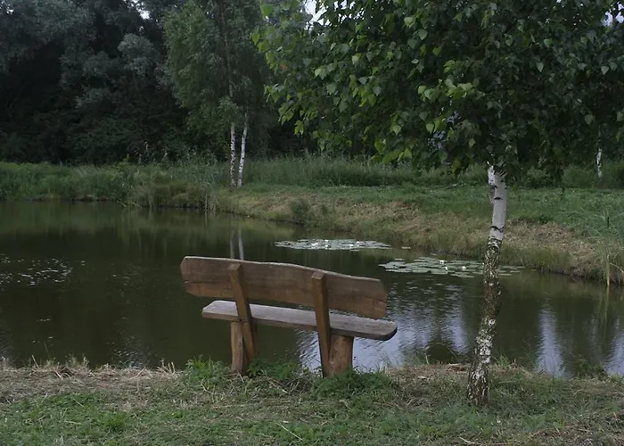 Stajnia Sarnowek Nad Jeziorem Rozany Rozajny Wielkie