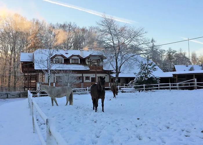 Stajnia Sarnowek Nad Jeziorem Rozany 住宿加早餐酒店 4*