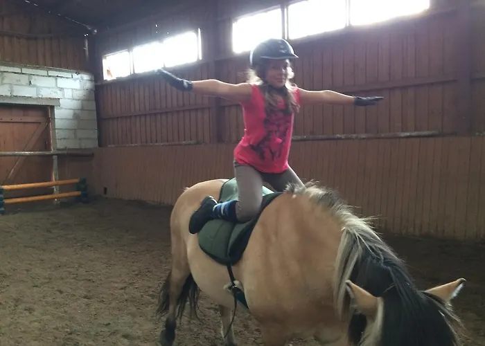 住宿加早餐酒店 Stajnia Sarnowek Nad Jeziorem Rozany Rozajny Wielkie