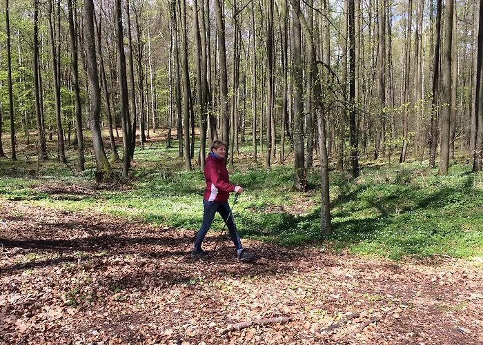 Stajnia Sarnowek Nad Jeziorem Rozany 住宿加早餐酒店