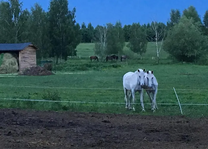 Stajnia Sarnowek Nad Jeziorem Rozany 住宿加早餐酒店